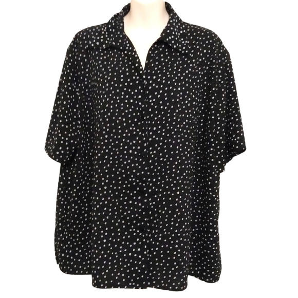 Bon Worth Tops - ✨Bogo FREE ✨Bon Worth Black & White Short Sleeve Button Down Top Sz LP